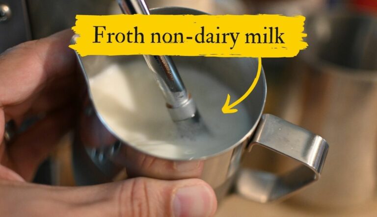 Can You Froth Non-Dairy Milk? (Best Milk & Froth Methods)