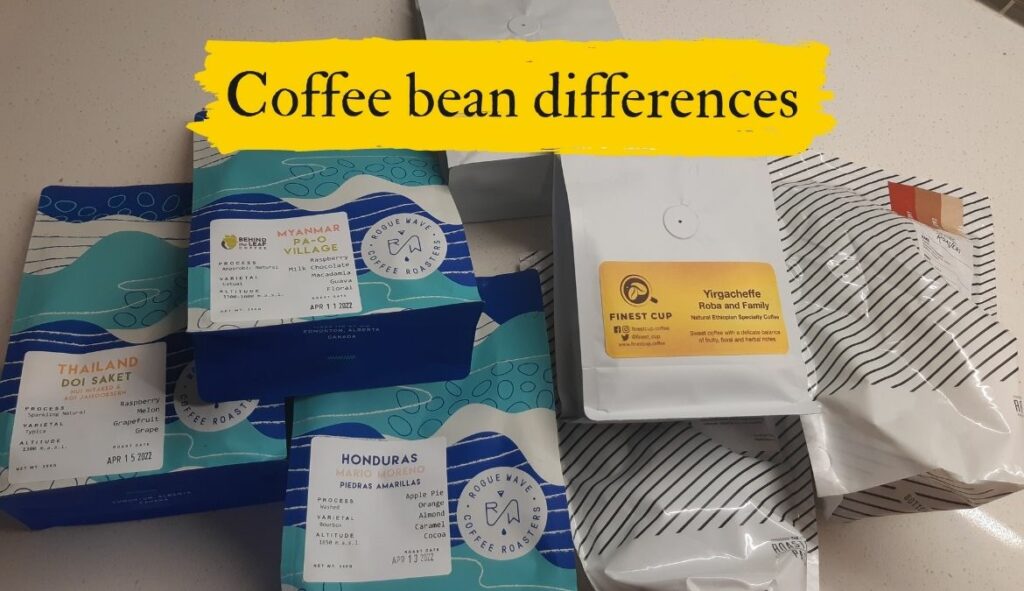 Why Do Coffee Beans Taste Different featured image