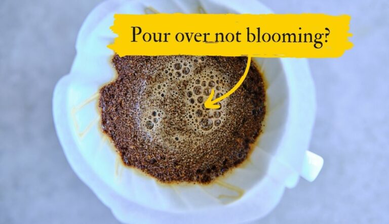 Why Your Pour Over Coffee Doesn’t Bloom (Cause & How to Fix)